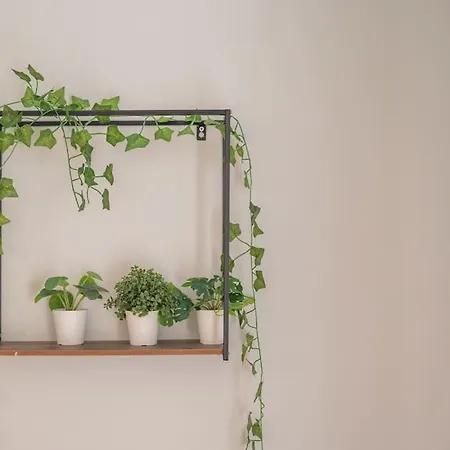 Gardeny
