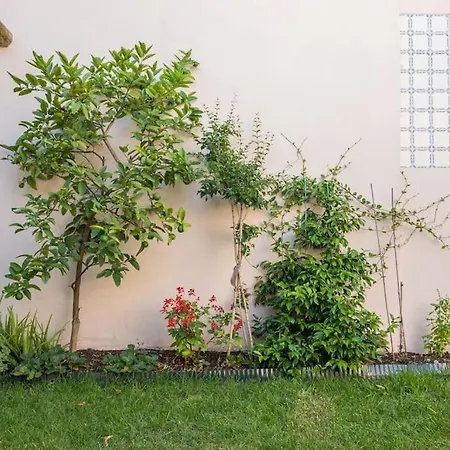 Διαμέρισμα Gardeny