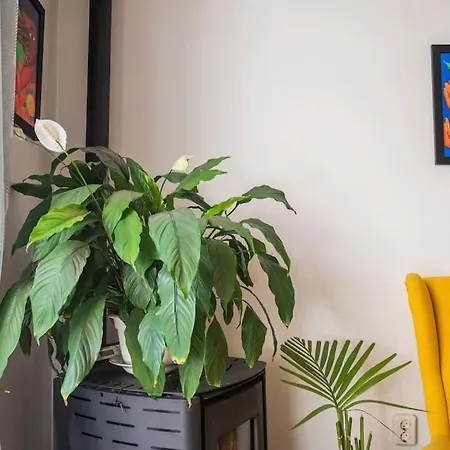 Gardeny Apartamento Oporto