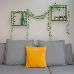Gardeny Daire